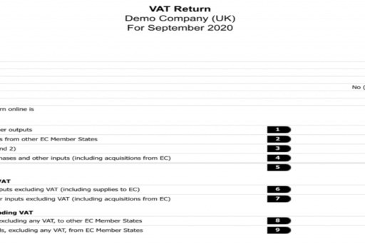 VAT Return demo company document image