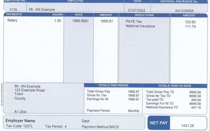 Demo Payslip